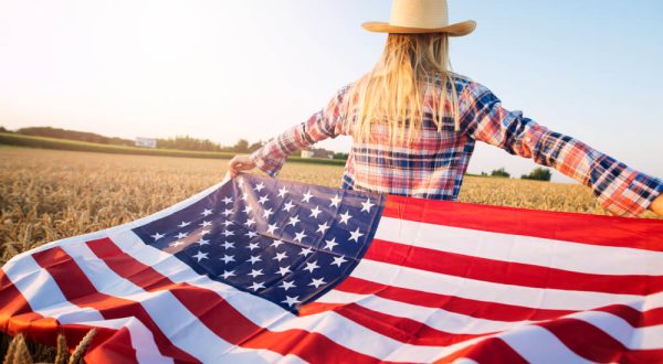 empresa llc wyoming vs delaware llc en estados unidos que es una empresa llc crear empresa en estados unidos