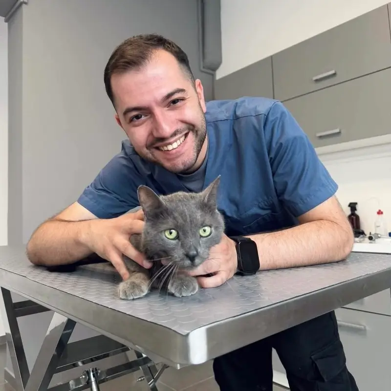 Medivet - Dimitris Asimakopoulos